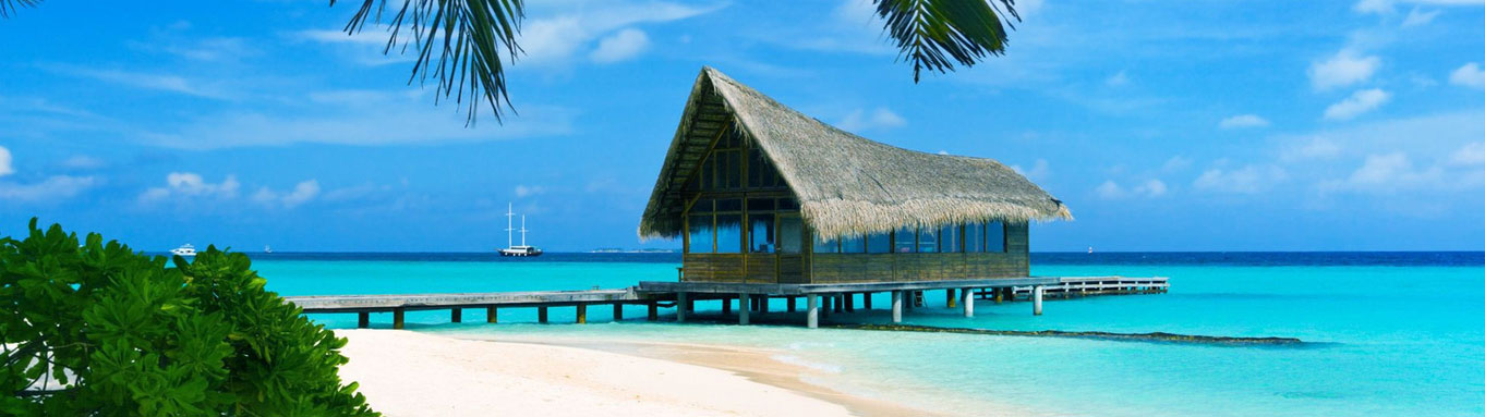 bahamiXL bahamiXL