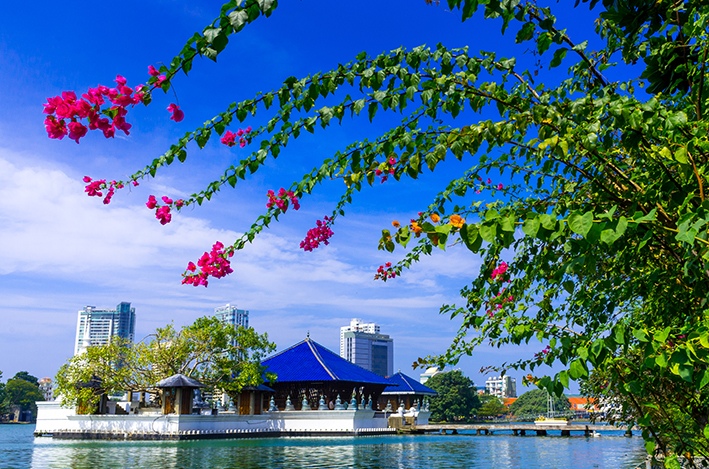 ŠRI LANKA I MALDIVI